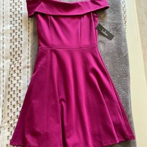 Lulus skater dress (never worn)